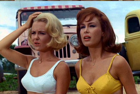 Shelley Fabares and Barbara Eden, Ride The Wild Surf (1964)