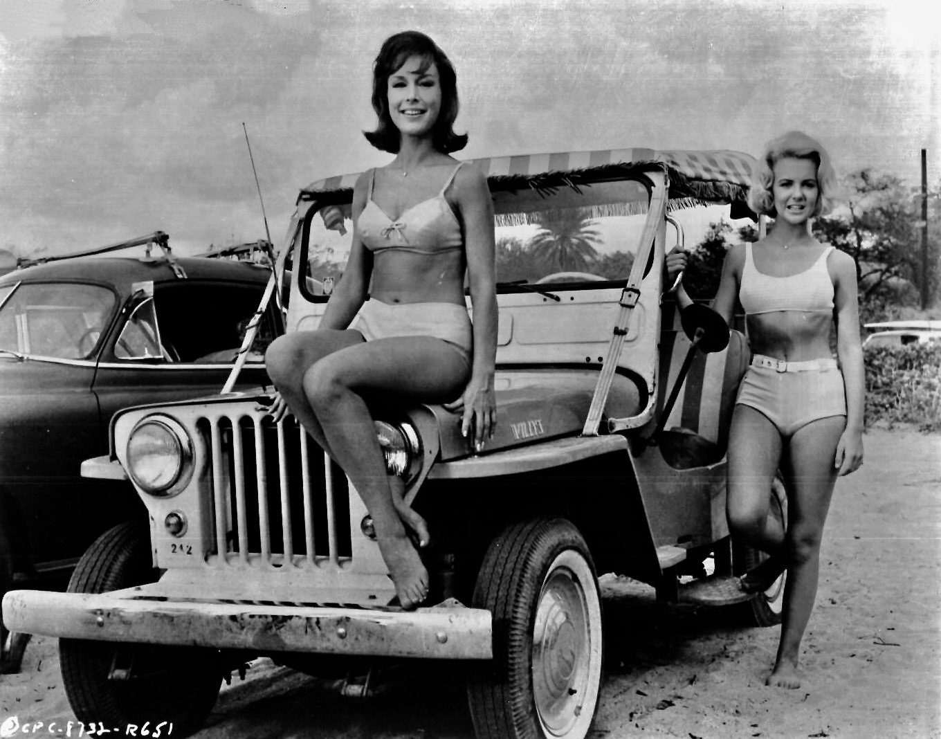 Barbara Eden and Shelley Fabares in Ride the wild surf, 1964