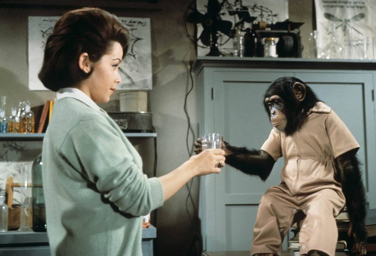 Annette Funicello in They monkey´s uncle 1965