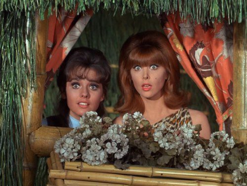 Dawn Wells and Tina Louise in a scene from “Gilligan’s Island.”