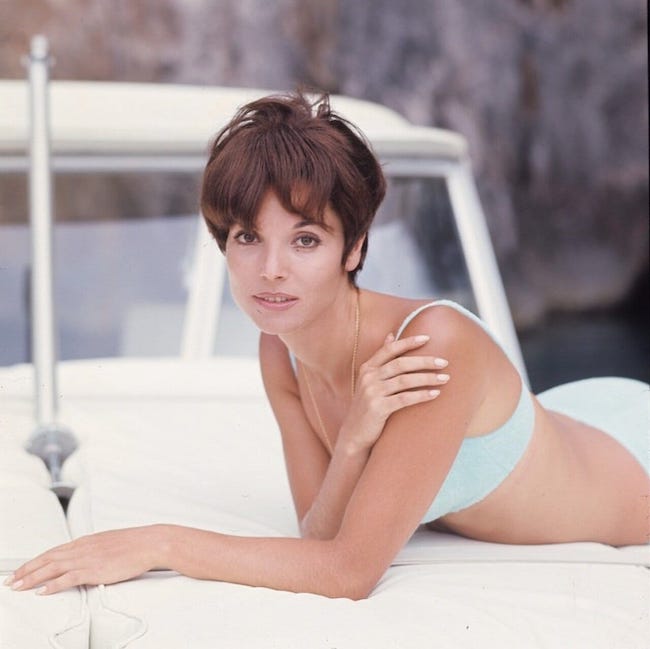 Elsa Martinelli, Italian actress and fashion model, circa 1964. 2