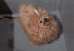 Alfa 177 Canine a.k.a The Unicorn Dog - Star Trek (1966) Alfa 177 Canine a.k.a The Unicorn Dog – Star Trek (1966)
