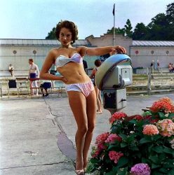 Shirley Anne Field