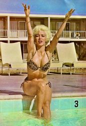 1960s Pat Barrington