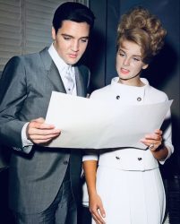 Elvis Presley and Ann Margret at MGM studios rehearsing lines for the film Viva Las Vegas (1964)