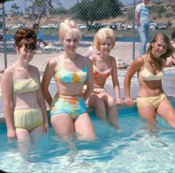 Here Is A Photo Of California Girls At The Pool- 1967