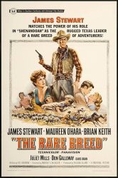 The Rare Breed starring James Stewart, Maureen O'Hara, Brian Keith and Juliet Mills. 1966