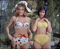 Pamela Austin & Yvonne Craig. Kissin’ Cousins (1964).