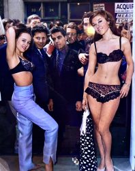 windoe models