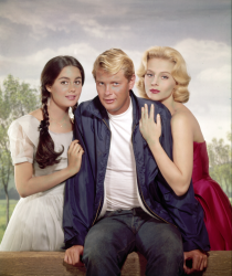 Troy Donahue, Sharon Hugueny, and Diane McBain in Parrish (1961)