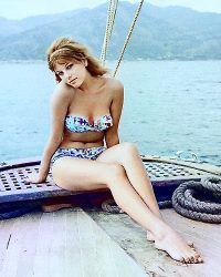 Stefania Sandrelli, 1960’s